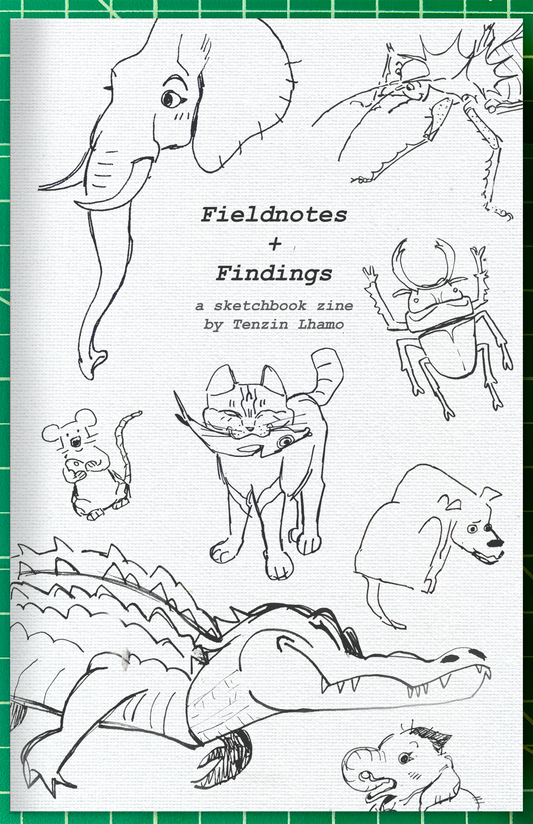 Fieldnotes + Findings