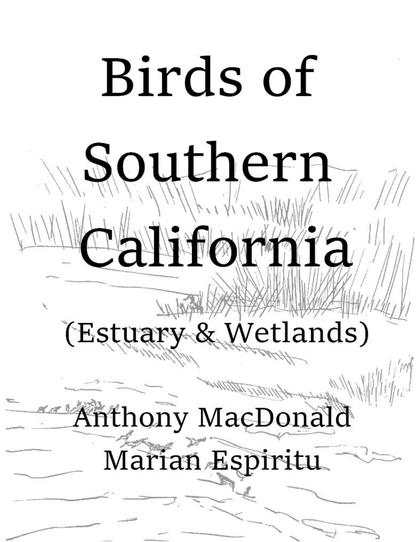 Birds of California Wetlands and Estuaries